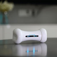 Smart Pet Toy - Crazy Bone Driven Board