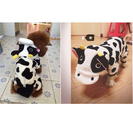 Pet Transformation Costume - Cow Cat & Dog Clothes