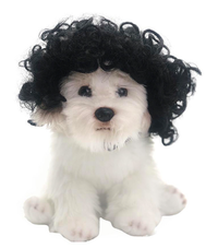 Toshomono Wig Cosplay Tool for Costumes
