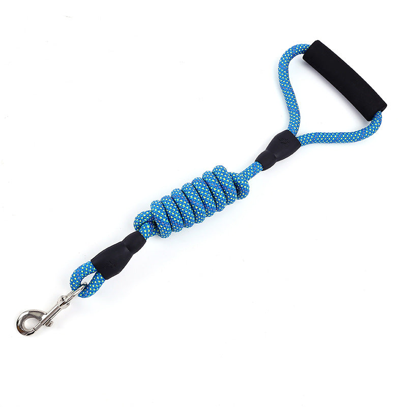 Golden Dog Leash for Traction and Control