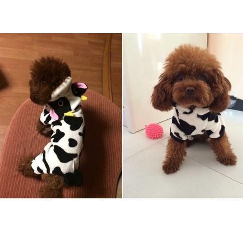 Pet Transformation Costume - Cow Cat & Dog Clothes