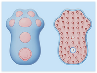 Pet Grooming Brush with Cat Paw Design and UV Sterilization