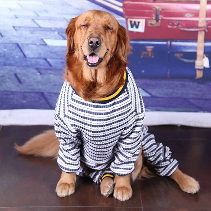 Medium and Large Dog Clothes for Pets