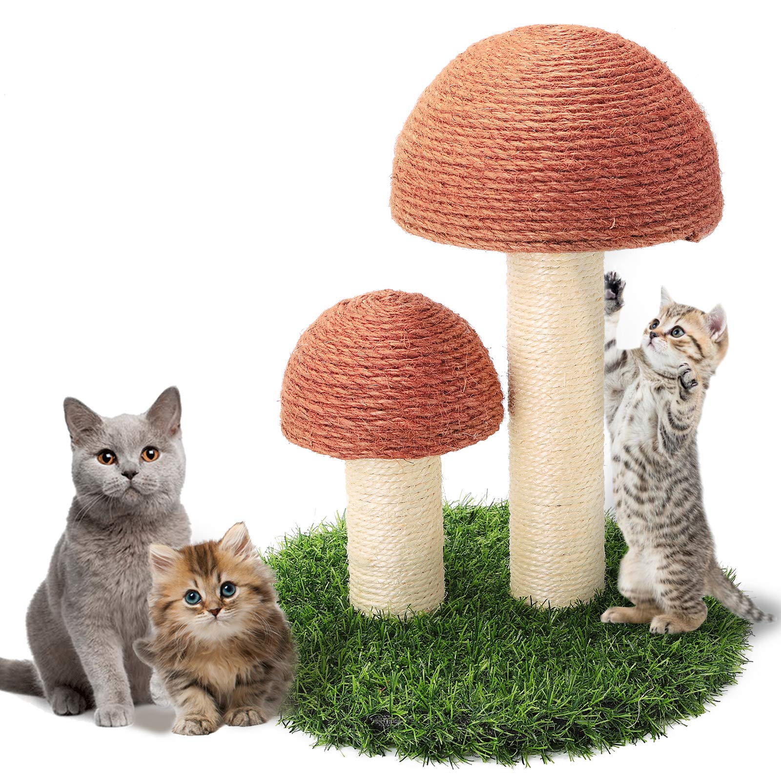 Mushroom Claw Scratching Post