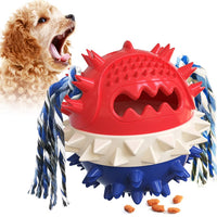 Vocal Dog Toy with Molar Stick for Puppies