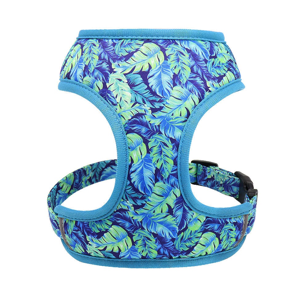 Dog Leash for Shiba Inu & Pomeranian Puppies
