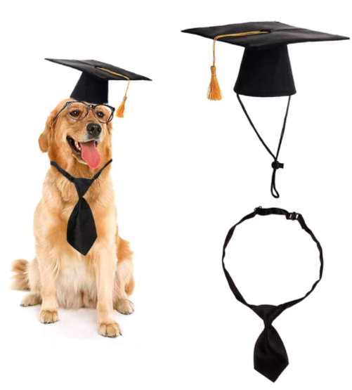 Dog Doctor Hat and Tie for Pet Supplies