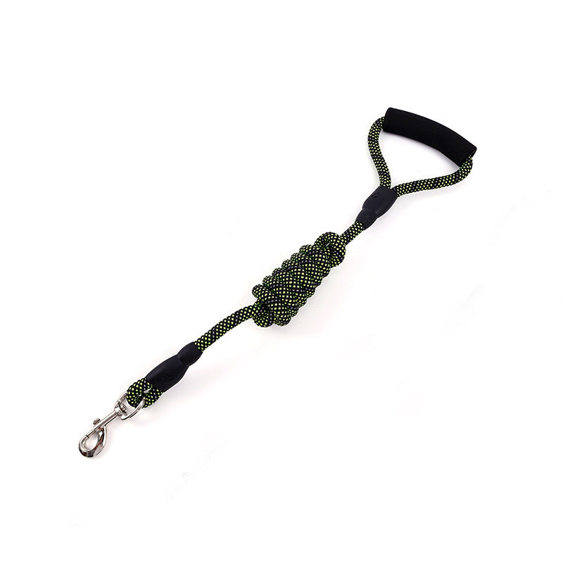 Golden Dog Leash for Traction and Control
