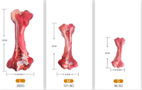 Dog Chewing Resistant Molar Stick Simulation Bone