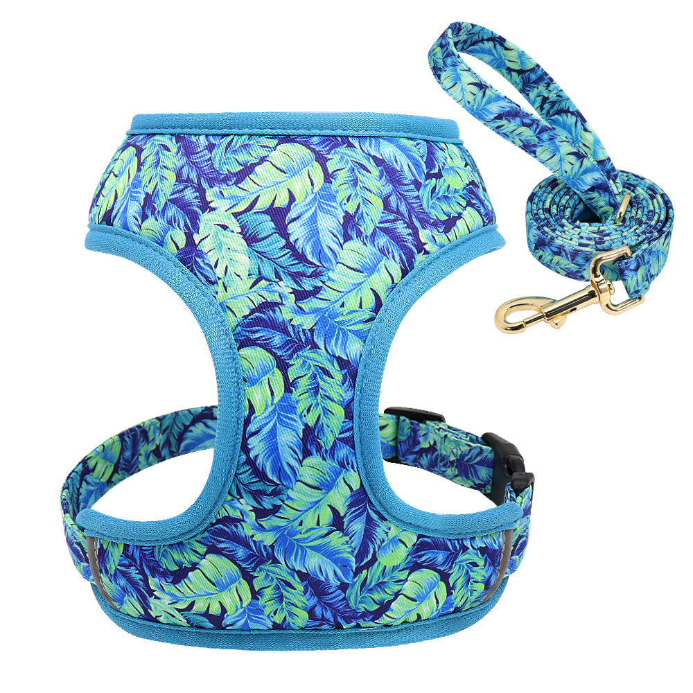 Dog Leash for Shiba Inu & Pomeranian Puppies