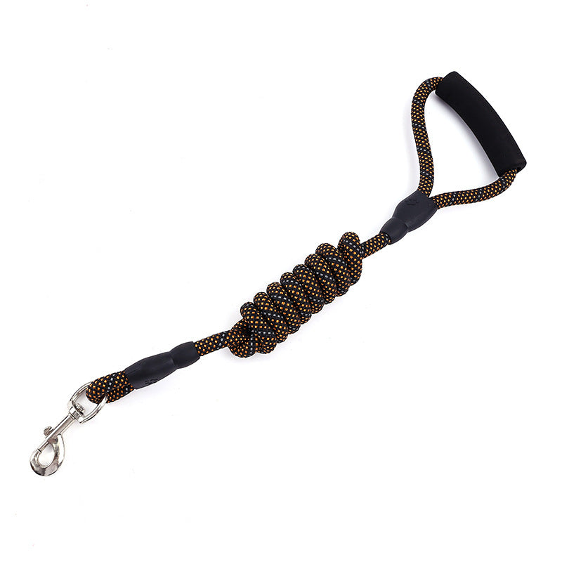 Golden Dog Leash for Traction and Control